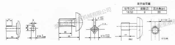 CBN-F300雙聯(lián)泵系列